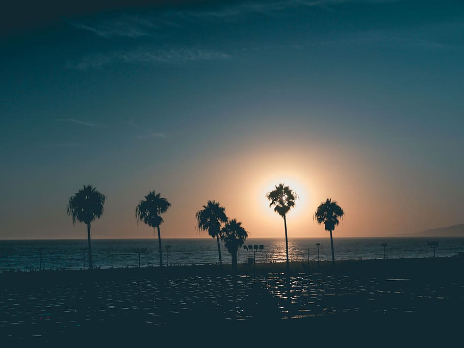 Silhouette Fotografie, Bäume, Silhouette, Palmen, Sonnenuntergang, Dämmerung, Baum, Strand, Palme, Sonne, Sonnenaufgang, einfach, sauber, ästhetisch, Dampf, Malibu, Wasser, Schönheit in der Natur, Himmel, Meer, Szenen - Natur, Ruhe, ruhige Szene, tropisches Klima, Land, Pflanze, Natur, Horizont über Wasser, Horizont, idyllisch, keine Leute, draußen, Kokospalme, 4K