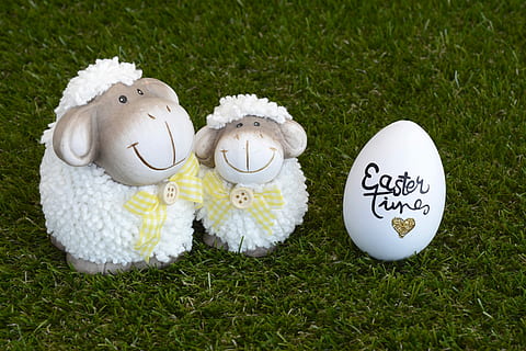 dois, branco, estatuetas de cordeiro, ovo, ovelha, Páscoa, ovos de pascoa, decoração, saudação de páscoa, Primavera, deco, decoração de páscoa, pressa, cartão, personalizadas, saudações de páscoa, celebração da páscoa, doces, figuras cerâmicas, engraçado, figura, cerâmica, grama, plantar, representação, natureza, ninguém, celebração, cor verde, representação animal, visão de alto ângulo, campo, dia, cor branca, animal, feriado, terra, criatividade, ao ar livre, 5K, CC0, domínio público, royalty free