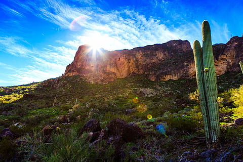 cactus, cliff, clouds, grass, hill, landscape, light, outdoors, park, rock, scenic, sky, sun, sunglare, sunny day, sunrays, travel, tree, valley, water, beauty in nature, scenics - nature, nature, tranquility, non-urban scene, environment, tranquil scene, sunlight, land, mountain, no people, plant, rock - object, solid, cloud - sky, saguaro cactus, lens flare, formation, 5K