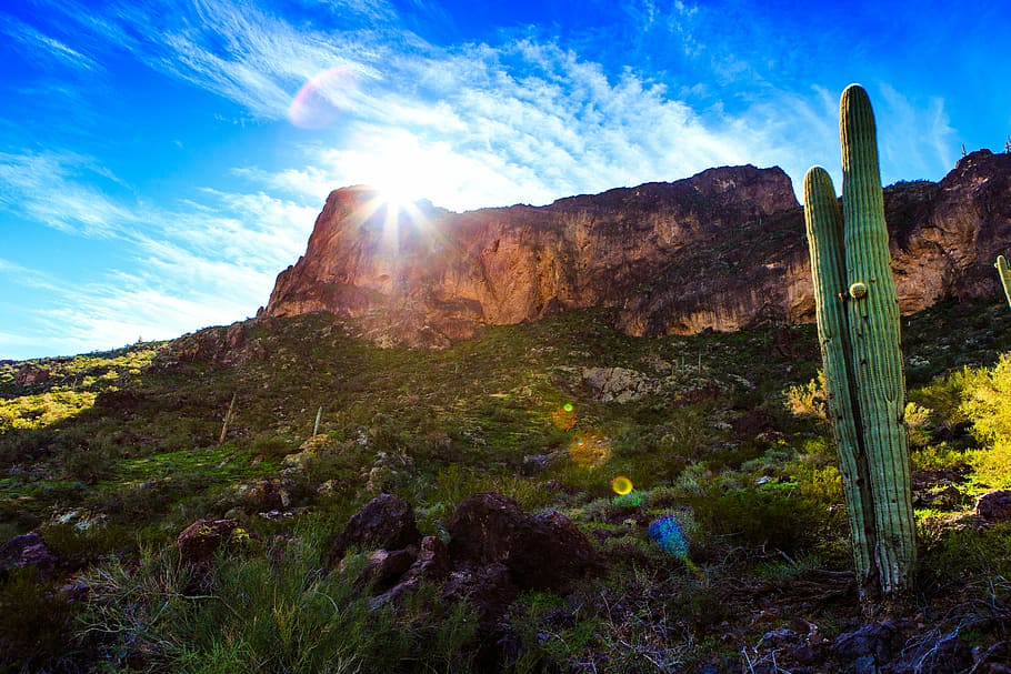 cactus, penya-segat, núvols, herba, turó, paisatge, llum, a l'aire lliure, parc, rock, escènic, cel, sol, ulleres de sol, dia assolellat, raigs solars, viatjar, arbre, vall, aigua, bellesa a la natura, escenics - natura, naturalesa, tranquil·litat, escena no urbana, medi ambient, escena tranquil·la, llum solar, terra, muntanya, cap gent, planta, rock - object, sòlid, núvol - cel, cactus saguaro, flare de la lent, formació, 5K