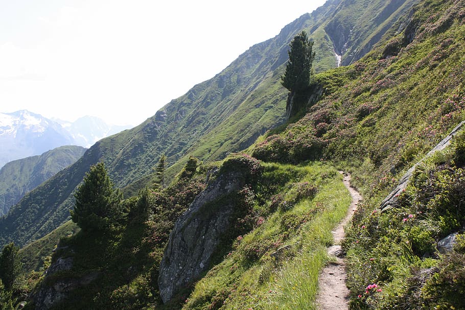muntanya, vista, lluny, Camí, berliner höhenweg, refugi de gams, zillertal, alpí, senderisme, bellesa a la natura, escenics - natura, tranquil·litat, escena tranquil·la, Serra, planta, escena no urbana, naturalesa, medi ambient, paisatge, dia, cap gent, cel, color verd, idíl·lic, arbre, creixement, terra, remot, a l'aire lliure, cim de muntanya, formació, 4K