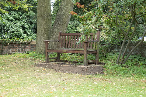 lavice, prázdný, prázdné lavice, osamělá lavička, opuštěné lavice, park, hřbitov, smutný, osamělý, sedadlo, dřevo, venkovní, nikdo, klidný, sama, starý, zahrada, zapomenutý, samota, prázdná židle, rostlina, strom, růst, Příroda, dřevo - materiál, den, zelená barva, židle, kufr, kmen stromu, přistát, absence, venku, les, list, 5K, CC0, veřejná doména, bez autorských práv