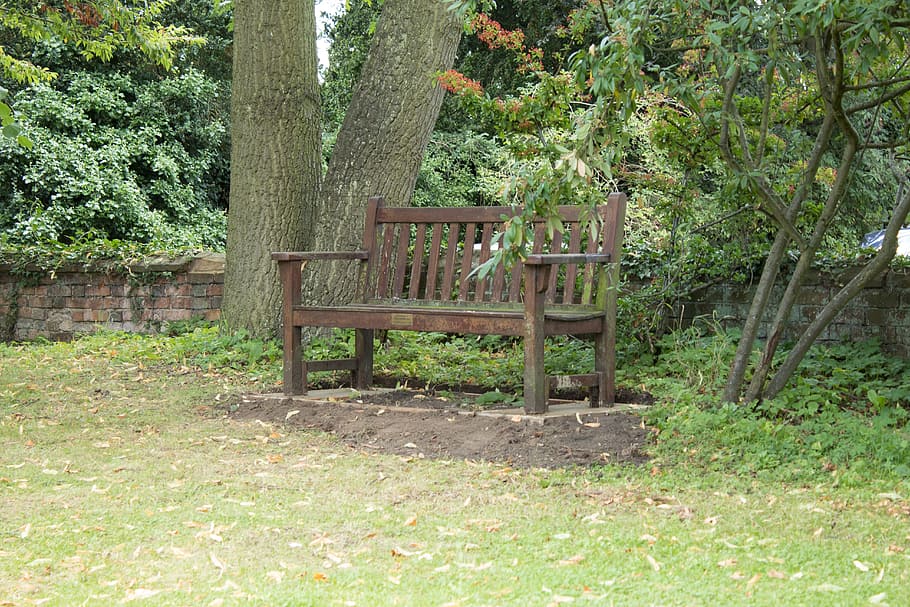 banc, buit, banc buit, banc solitari, banc abandonat, parc, cementiri, trist, solitari, seient, fusta, a l'aire lliure, ningú, tranquil, pacífica, sol, vell, jardí, oblidat, solitud, cadira buida, planta, arbre, creixement, naturalesa, material de fusta, dia, cap gent, color verd, cadira, tronc, tronc de l'arbre, terra, absència, bosc, full, 5K