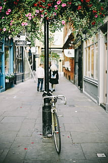 Tiefe, Feldfotografie, grau, Rennrad, schwarz, Metallpfosten, Beton, Weg, Tiefenschärfe, Fotografie, schwarzes Metall, Post, Fahrrad, Straße, städtische Szene, Stadt leben, draußen, Stadt, Europa, Radfahren, Bürgersteig, amsterdam, gebaute Struktur, keine Leute, Gebäudehülle, Tag, die Architektur, Transport, Pflanze, Landfahrzeug, Gebäude, Transportmittel, Natur, Fußweg, stationär, Blume, blühende Pflanze, Wohngegend, Eingang, 2K, CC0, gemeinfrei, lizenzfrei