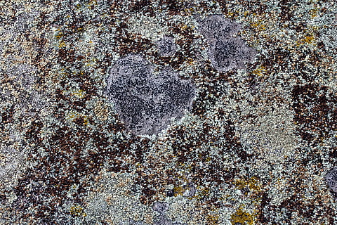 fondo, textura, pared, tejido, estructura, zarzo, antecedentes, resumen, modelo, texturizado, fotograma completo, nadie, de cerca, día, al aire libre, naturaleza, áspero, tierra, directamente arriba, Arte y artesanía, vista de alto ángulo, creatividad, arte, arena, erosionado, emoción positiva, amor, liquen, 5K, CC0, dominio público, libre de derechos