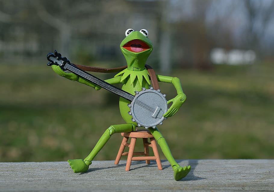 kermit, granota, jugant, banjo, muppet, titella, joguina, infància, verd, amfibi, música, musical, músic, cantar, instrument assegut, material de fusta, color verd, centrar-se en primer pla, representació, naturalesa, dia, seient, herba, mascles, creativitat, representació humana, homes, planta, longitud completa, descendència, a l'aire lliure, 4K