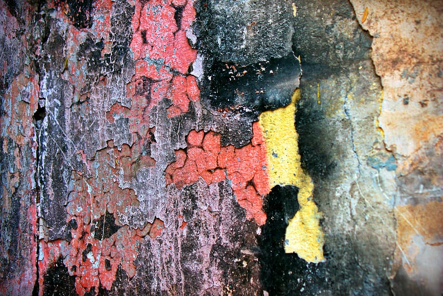 textures, struttura, vecchia vernice, vecchio, decorazione, urbano, parete, rotto, strutturato, intemperie, fotogramma intero, struttura costruita, tronco d'albero, avvicinamento, nessuno, architettura, giorno, all'aperto, sfondi, ruvido, caratteristica della parete, sbucciare, modello, declino, tronco, deterioramento, danneggiato, lichene, effetto strutturato, 2K