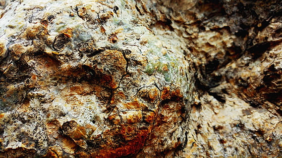 Baumrinde, Holz, Textur, Rau, alt, texturiert, Baumstamm, Kofferraum, Nahansicht, keine Leute, Hintergründe, Vollbild, Tag, Muster, Natur, Rock, Baum, Rock - Objekt, Pflanzenrinde, draußen, solide, selektiver Fokus, Pflanze, natürliches Muster, Borke, Flechte, Struktureffekt, 4K, CC0, gemeinfrei, lizenzfrei
