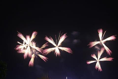 Feuerwerk, explodieren, Explosion, Pyrotechnik, Party, Juli, Jahrestag, feiern, Festival, Feier, explodiert, Flamme, Funke, Unterhaltung, Gruß, beleuchtet, glühend, festlich, schwarz, Freude, Aufregung, Nacht-, Veranstaltung, Bewegung, Kunst, Kultur und Unterhaltung, Langzeitbelichtung, keine Leute, Feuerwerk - künstliches Objekt, Flachwinkelansicht, Himmel, kopieren sie platz, Natur, draußen, Bewegungsunschärfe, dunkel, Licht, Funken, Silvester, hell erleuchtet, 1080P, CC0, gemeinfrei, lizenzfrei