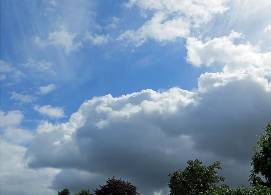 himmel, skyer, natur, mørk, blå, vejrstemning, himlen humør, skyformationer, sky - himmel, skønhed i naturen, træ, dag, scenics - natur, ingen mennesker, plante, ro, lav vinkel visning, rolig scene, udendørs, hvid farve, sollys, idyllisk, cloudscape, ikke-urbane scene, trætop, blødhed, meteorologi, 4K