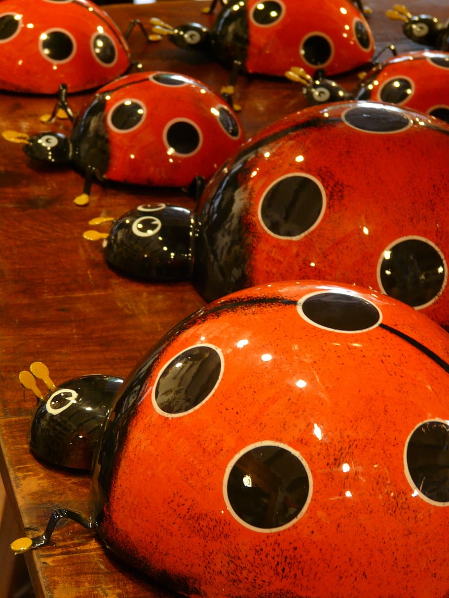 coccinella, ceramica, colore rosso, rosso, colore, colorato, sgargiante, divertente, dolce, punti, strumento musicale, avvicinamento, musica, nessuno, in casa, giorno, legno - materiale, natura morta, fotogramma intero, buco, sfondi, strumento a corda, cerchio, forma, forma geometrica, arte e artigianato, cultura artistica e intrattenimento, modello, grande gruppo di oggetti, design, 2K