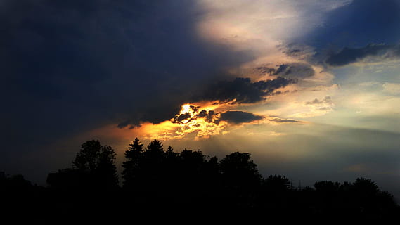 hemel, wolk, zonneschijn, zonsondergang, storm, drieën, silhouet, boom, natuur, geen mensen, wolk - lucht, fabriek, schoonheid in de natuur, kalmte, rustige scène, scenics - natuur, groei, idyllisch, Bos, buitenshuis, niet-stedelijke scène, milieu, brandend, lage hoekweergave, 2K, CC0, publiek domein, royaltyvrij