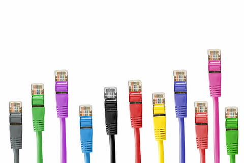 Ethernet-kabler med forskellige farver, netværkskabler, netværksforbindelse, kabel, lappe, patch kabel, rj, rj45, rj-45, netværk, linje, fs, databehandling, forbindelse, prop, makro, lan, gul, lan kabel, multi farvet, meddelelse, data, computer netværk, hvid baggrund, computer kabel, ingen mennesker, indendørs, internet, teknologi, studio skud, kopiere plads, tæt på, skåret ud, uddannelse, stilleben, gruppe af objekter, blå, beholder, valg, lilla, variation, stor gruppe af objekter, tekst, 5K, CC0, offentligt domæne, royaltyfrie