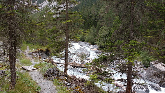 fiume, albero, foresta, pianta, bellezza nella natura, terra, natura, scena non urbana, scenics - natura, acqua, nessuno, giorno, la tranquillità, ambiente, scena tranquilla, colore verde, paesaggio, all'aperto, acqua corrente, bosco, albero di conifere, bosco di pini, 4K, CC0, dominio pubblico, privo di copyright