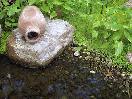 nature, spring, composition, garden, stone, jug, vegetation, pond, green, foliage, water, high angle view, solid, no people, rock, animal, animal themes, lake, rock - object, day, animal wildlife, animals in the wild, plant, representation, vertebrate, outdoors, one animal, plant part, pebble, shallow, 1080P, CC0, public domain, royalty free