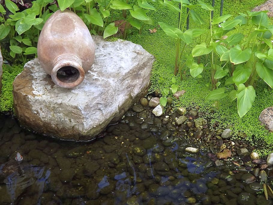 natura, primavera, composizione, giardino, pietra, brocca, vegetazione, stagno, verde, fogliame, acqua, vista dall'alto, solido, nessuno, roccia, animale, temi animali, lago, roccia - oggetto, giorno, fauna selvatica, animali allo stato selvatico, pianta, rappresentazione, vertebrato, all'aperto, un animale, parte vegetale, ciottolo, superficiale, 1080P