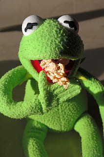 Frog, Kermit, Cookie, Nibble, Hunger, eat, small cakes, chocolate crisp happen, chocolate cornflakes cakes, chocolate cornflakes, cornflakes, cornflake cookies, chocolate cornflakes pile, bunch of cornflakes, chocolate crossies, chocolate, analyse, toy, doll, teddy Bear, humor, green color, knit hat, close-up, indoors, one person, representation, animal representation, no people, art and craft, stuffed toy, focus on foreground, plant part, creativity, nature, leaf, plant, animal, animal themes, beauty in nature, home interior, craft, 5K, CC0, public domain, royalty free
