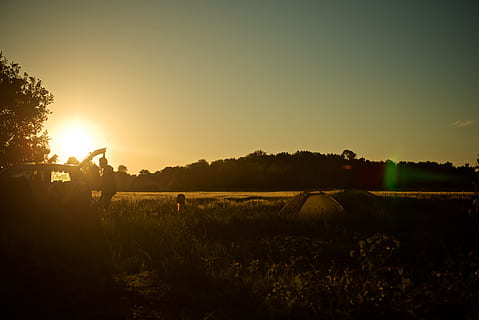 gruppe, folk camping, græsfelt, silhuet, mand, stående, ved siden af, bil, landbrug, udendørs, mennesker, natur, landlige scene, solnedgang, gård, Mark, baggrundsbelyst, sollys, sol, himmel, jord, plante, skønhed i naturen, landskab, miljø, beskæftigelse, pattedyr, træ, scenics - natur, rigtige mennesker, en person, dyre temaer, linseflare, landmand, 2K, CC0, offentligt domæne, royaltyfrie