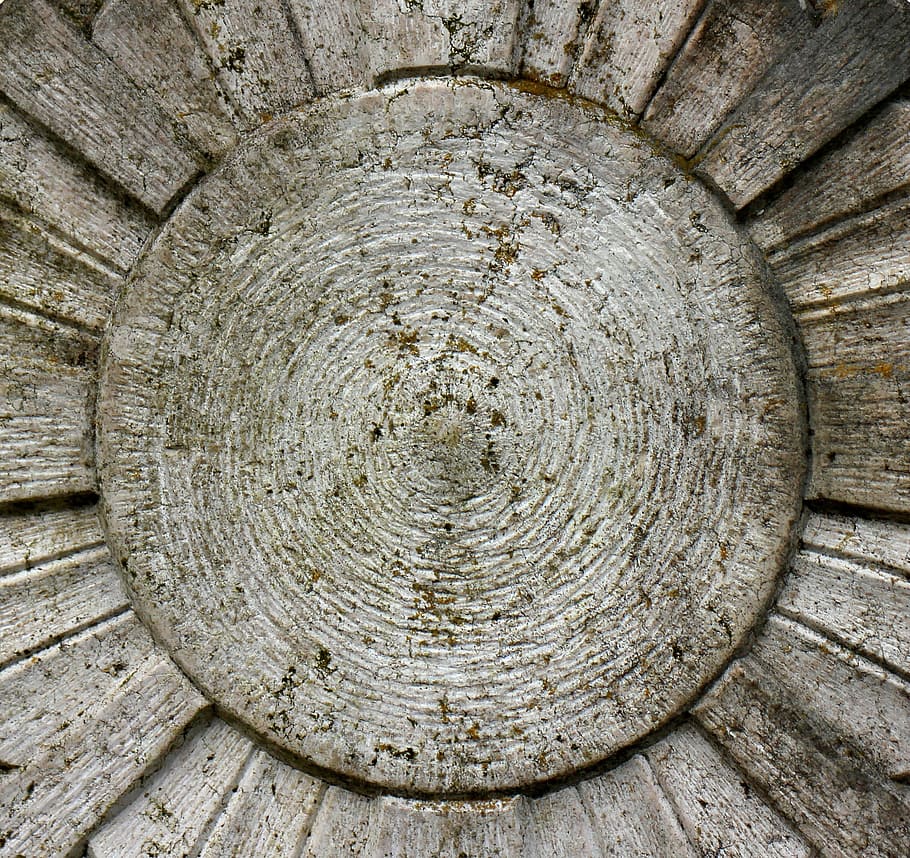 alleujament, districte, sol, rajos, sol, raigs, figura de pedra, centre, símbol, cercle, material de fusta, textura, cap gent, dia, concèntric, forma geomètrica, forma, patró, arquitectura, vell, primer pla, directament a sobre, estructura construïda, a l'aire lliure, funció de construcció de parets, vista d’angle alt, marc complet, naturalesa, arbre, buit, anell d’arbre, escorça, 2K
