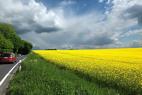 vermell, vehicle, carretera, al costat, groc, camp de flors, durant el dia, colza, núvols, núvols dramàtics, cel, carretera nacional, agricultura rara, horitzó, paisatge, mettmann, Alemanya, estiu, muntatge fotogràfic, camp, escènic, agricultura, núvol - cel, transport, planta, medi ambient, manera de transport, bellesa a la natura, automòbil, cotxe, naturalesa, terra, escenics - natura, cap gent, escena rural, a l'aire lliure, primavera, 4K, CC0, domini públic, lliure de regalies