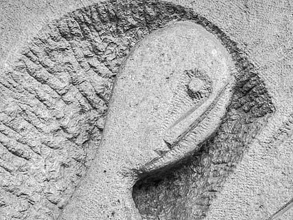 ansigt, sten-, skulptur, hoved, figur, kunst, væg, Engel, sort og hvid, gammel, historie, ingen mennesker, høj vinkel visning, tæt på, dag, natur, jord, kreativitet, sand, mønster, direkte over, tekstureret, håndværk, udendørs, Kunst og håndværk, form, strand, ru, solid, dyr, murbygningsfunktion, beton, 4K