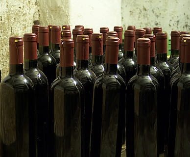 sort, glasflasker, overflade, flasker, vin, kælder, alkohol, vinflaske, drikke, flaske, vingård, forfriskning, beholder, mad og drikke, i en række, ingen mennesker, indendørs, side om side, glas - materiale, gruppe af objekter, dag, tæt på, stor gruppe af objekter, kork - prop, overflod, produktionslinie, vinfremstilling, 2K, CC0, offentligt domæne, royaltyfrie