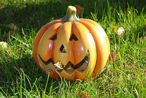 keramisk, gresskar, ansikter, halloween, skåret, utskjæring, pynt, dekorative, morsom, gress, gresslettene, enger, grønt, blader, grønne, begrunnelse, lander, lys, solfylt, dag, sollys, frukt, gul, oransje, feiring, høst, jack o-lantern, antropomorfe ansikt, ansikt, anlegg, mat og Drikke, antropomorfe, mat, felt, grønnsak, ingen folk, kreativitet, natur, land, nærbilde, carving håndverk produkt, utendørs, 1080P, CC0, offentlig domene, opphavsrett gratis