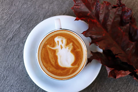 hvid, keramisk, te kop, fyldt op, spøgelse illustration kaffe latte, underkop, ved siden af, maroon, bladfotografering, fuld, tæt på, Foto, kop, drikke, bord, espresso, kaffe - drikke, cafe, cappuccino, varme - temperatur, Brun, koffein, morgenmad, kaffekop, mad og drikke, forfriskning, kaffe, krus, blad, plante del, efterår, stilleben, skummende drikke, varm drikke, friskhed, ingen mennesker, porcelæn, latte, lave om, ahorn blad, 5K, CC0, offentligt domæne, royaltyfrie