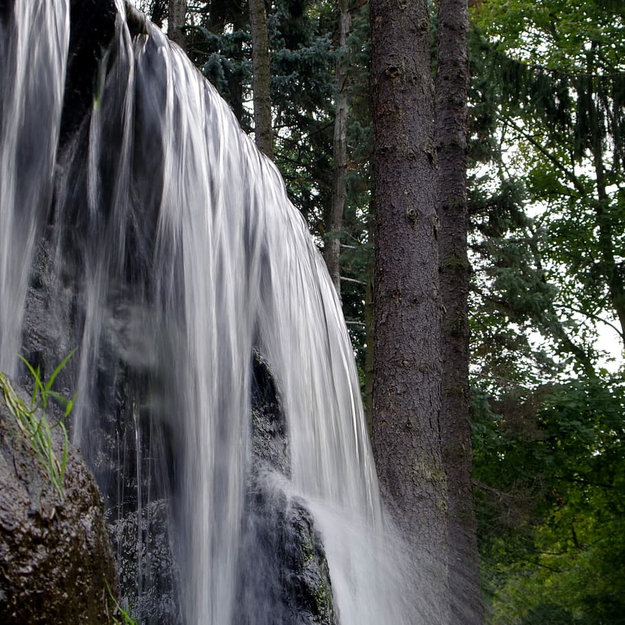 cascata, sorgente d'acqua, fonte, flusso, acqua, fonte, ruscello, le pietre, fiume, torrente, il ruscello, verde, albero, paesaggio, turismo, umidità, nuotare, bagnato, La bellezza della natura, foresta, all'aperto, natura, giorno, movimento, lunga esposizione, pianta, terra, scenics - natura, tronco d'albero, tronco, bellezza nella natura, acqua corrente, fluente, movimento sfocato, crescita, ambiente, bosco, nessuno, potere in natura, foresta pluviale, acqua che cade, purezza, 2K