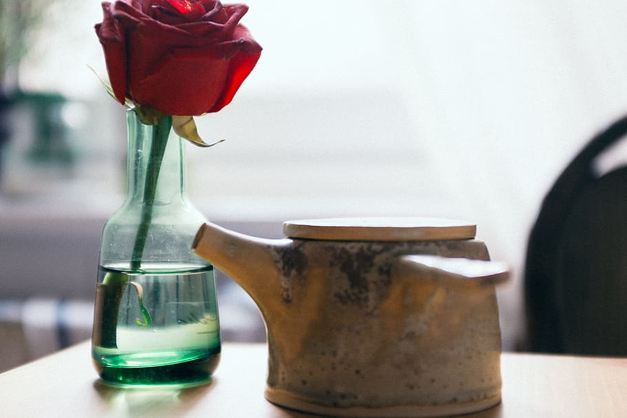 lille bitte, tepotte, Rose, mad og drikke, objekter, bord, indendørs, ingen mennesker, blomst, rød, blomstrende plante, vase, plante, tæt på, beholder, fokus på forgrunden, skønhed i naturen, natur, friskhed, glas - materiale, flaske, stilleben, skrøbelighed, sårbarhed, rosenblomst, blomsterhoved, krukke - krukke, 4K