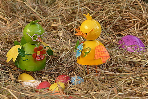 Pasen, Paas eieren, figuur, deco, de lente, vertegenwoordiging, dierlijke representatie, geen mensen, voedsel, viering, ei, detailopname, dier, vakantie, fabriek, natuur, vogel, paasei, geel, kunst en ambacht, dieren nest, creativiteit, dierlijke thema's, 2K, CC0, publiek domein, royaltyvrij