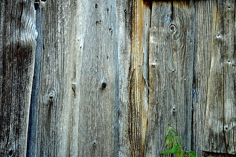brauner hölzerner Zaun, Bretter, Struktur, Knoten, Hintergrund, Astloch, schließen, Tafel, Baumaugen, Holz, Baumrinde, Log, Borke, alt, Korn, verwittert, Holzstruktur, Rahmen, Materialsammlung, Design, Textur, Holz - Material, Brett, Hintergründe, Natur, texturiert, Muster, Bauholz, Zaun, braun, keine Leute, Rau, Nahansicht, Tag, Vollbild, beschädigt, heruntergewirtschaftet, Tür, schlechter Zustand, draußen, Ablehnen, Eingang, Verschlechterung, Nagel, Holzmaserung, ruiniert, 5K, CC0, gemeinfrei, lizenzfrei