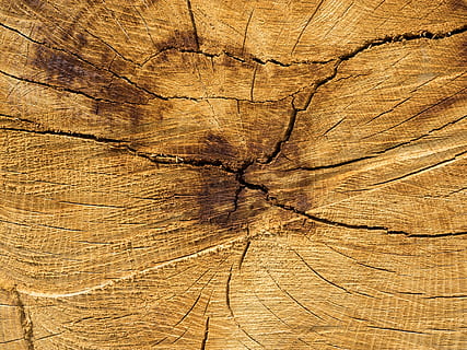 braune Holzplatte, Hintergrund, Holz, Struktur, Textur, Jahresringe, Korn, Holzmaserung, Holzoberfläche, Holz - Material, texturiert, Natur, Baumring, Hintergründe, keine Leute, Muster, Vollbild, geknackt, Baumstumpf, Borke, Nahansicht, Baum, braun, Rau, natürliches Muster, Pflanze, Tag, draußen, Struktureffekt, konzentrisch, 4K, CC0, gemeinfrei, lizenzfrei