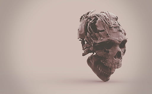 gris, decaïment, fotografia de crani, esquelet, crani, 3d, sol objecte, tir de l'estudi, cap gent, primer pla, a l'interior, dia, art i artesania, representació, natura morta, còpia espai, història, part del cos, creativitat, el passat, fons de colors, representació humana, os, esquelet humà, artesania, anatomia, 2K, CC0, domini públic, lliure de regalies