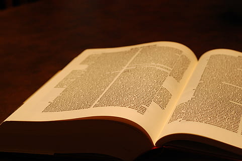 hvid, Bestil, Brun, overflade, bibel, skriften, åben, tekst, åben bog, åben bibel, religion, spiritualitet, læsning, Kristendom, uddannelse, bedende, religiøs tekst, litteratur, læring, side, offentliggørelse, indendørs, papir, tro, ingen mennesker, visdom, studio skud, tæt på, enkelt objekt, farvet baggrund, note pad, antik, studere, lærebog, 2K, CC0, offentligt domæne, royaltyfrie