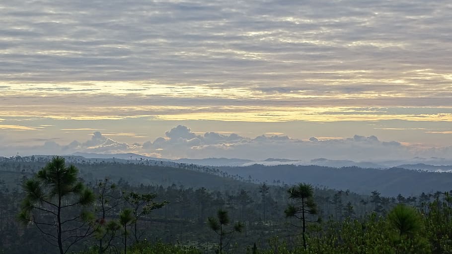 fjell, furu, ås, skyer, dal, fjell, furu, møne, tåke, morgen, Belize, natur, landskap, scenisk, skog, jungel, vill, gul, soloppgang, farge, skjønnhet i naturen, solnedgang, ro, rolig scene, scenics, naturskjønnhet - natur, tre, himmel, miljø, sky - himmel, anlegg, sol, land, idylliske, fjellkjede, ingen folk, utendørs, 5K