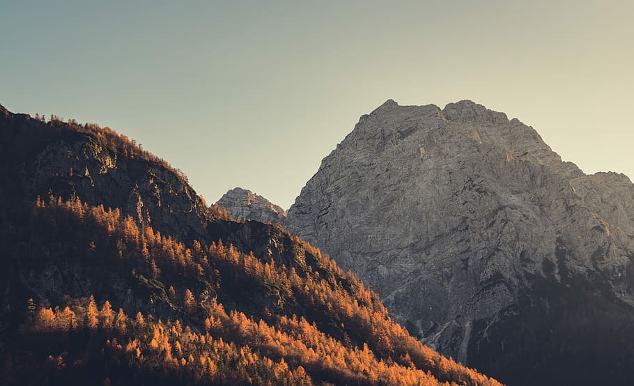foto, marró, muntanyes, daurat, fotografia horària, blanc, alt, muntanya, bosc, arbre, rock, pic, ombra, caure, terra, naturalesa, sortida del sol, alpí, alp, slovenium, pi, làrix, bellesa a la natura, cel, escenics - natura, Serra, escena tranquil·la, tranquil·litat, medi ambient, paisatge, escena no urbana, cim de muntanya, cap gent, hivern, idíl·lic, remot, posta de sol, cel clar, a l'aire lliure, arbre de coníferes, formació, 5K
