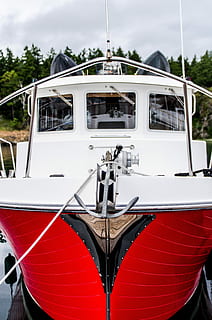 foto, putih, merah, haluan kapal, perahu, busur, kapal laut, kapal pesiar, angkutan, pelabuhan, kemewahan, laut, perahu motor, di luar rumah, pelayaran, liburan, ditambatkan, air, moda transportasi, perahu layar, perjalanan, tidak ada orang, marina, dermaga, hari, warna putih, kendaraan umum, kendaraan darat, alam, kendaraan udara, pohon, langit, fokus pada latar depan, jendela, merapatkan, 4K, CC0, domain publik, bebas royalti