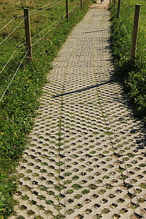 Weg, Patch, Pflastersteine, Muster, Struktur, gepflastert, Bürgersteig, Passage, Fußweg, Gras, Pflanze, der Weg nach vorn, Richtung, Tag, Natur, keine Leute, grüne Farbe, Feld, High Angle View, Land, Ruhe, Wachstum, in einer Reihe, abnehmende Perspektive, draußen, Sonnenlicht, Landschaft, lange, Pflasterstein, 5K, CC0, gemeinfrei, lizenzfrei
