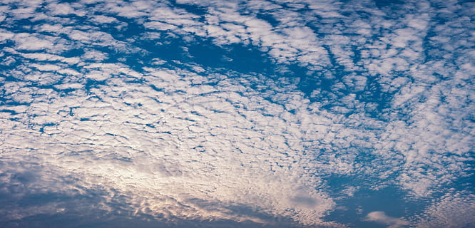 núvols blancs, cel, núvol, naturalesa, blau, núvols de cel, temps, núvols de cel blau, llum, dia, estiu, llum solar, esponjós, assolellat, fons de cel blau, cel blau, paisatge, panorama, cel bonic, núvols impressionants, núvols bojos, núvols esponjosos, cloudscape, clima, fons, marc complet, textura, resum, cap gent, núvol - cel, bellesa a la natura, escenics - natura, vista d’angle baix, tranquil·litat, escena tranquil·la, medi ambient, a l'aire lliure, idíl·lic, Color blanc, patró, meteorologia, fons abstractes, 8K, CC0, domini públic, lliure de regalies
