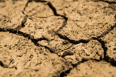 aridity, brown, drought, dry, earth, soil, full frame, backgrounds, land, no people, cracked, nature, textured, day, arid climate, selective focus, pattern, climate, high angle view, dirt, environment, sunlight, barren, mud, outdoors, surface level, 5K, CC0, public domain, royalty free