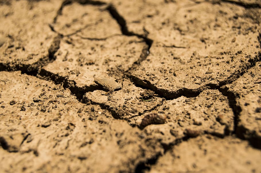 aridesa, marró, sequera, sec, terra, sòl, marc complet, fons, cap gent, esquerdat, naturalesa, textura, dia, clima àrid, enfocament selectiu, patró, clima, vista d’angle alt, brutícia, medi ambient, llum solar, estèril, fang, a l'aire lliure, nivell superficial, 5K
