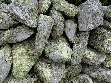 lichen, sten-, struktur, mos, tekstureret, baggrunde, fuld ramme, ingen mennesker, overflod, stor gruppe af objekter, dag, tæt på, natur, plante, klippe, stak, solid, rock-objekt, mad og drikke, ru, udendørs, grøn farve, vækst, mønster, 2K, CC0, offentligt domæne, royaltyfrie