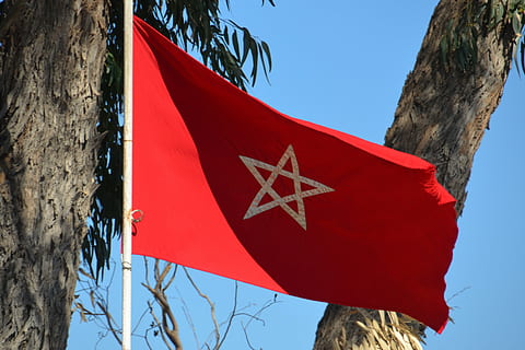 flag, morocco, star, flutter, red, blow, wind, tree, nature, sky, no people, tree trunk, day, trunk, patriotism, environment, outdoors, blue, plant, sign, star shape, communication, symbol, shape, 4K, CC0, public domain, royalty free