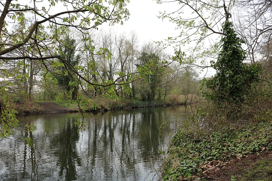 paesaggio, foresta, parco, fiume, alberi, aria fresca, natura, paesaggio di montagna, albero, cielo, lago, calma, escursioni a piedi, estate, vacanza, piante, sentiero, verde, cristallo, nord, pianta, acqua, la tranquillità, bellezza nella natura, scena tranquilla, riflessione, scenics - natura, crescita, nessuno, giorno, scena non urbana, terra, idilliaco, colore verde, all'aperto, 5K