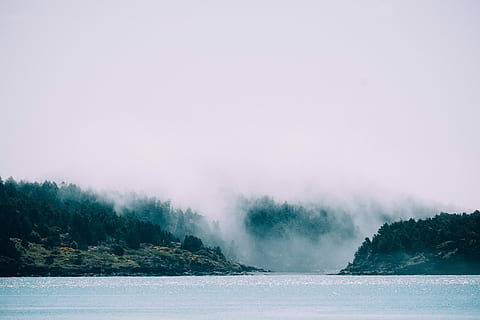 aaltojen valokuvaus, Aalto, valokuvaus, luonto, meri, vesi, sumu, scenics, maisema, ulkona, ei ihmisiä, vuori, tyyneys, rauhallinen kohtaus, kauneus luonnossa, kylmä lämpötila, ympäristö, maisemat - luonto, kasvi, puu, maa, taivas, metsä, matkustaa, matkakohteet, ei-kaupunkikuvia, mänty, havupuu, voimaa luonnossa, mäntymetsät, 4K, CC0, public domain, rojaltivapaa