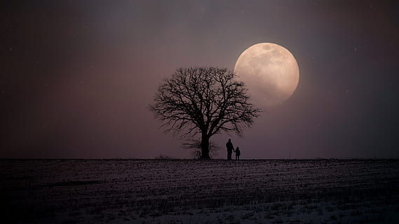 otec, dítě, stojící, vedle, baretree, hledá, měsíc, zimní, člověk, otec a dítě, osamělý, strom, Příroda, abendstimmung, atmosféra, mystický, osobní, hodinky, Studený, jasnost, osamělost, temný, měsíční svit, holý strom, sníh, mráz, silueta, zadní světlo, skládání, sníh krajina, nálada, nebe, osvětlení, krajina, noc, krása v přírodě, astronomie, klid, scenics - příroda, přistát, úplněk, klidné scény, rostlina, prostor, pole, venku, horizont, životní prostředí, planetární měsíc, 4K, CC0, veřejná doména, bez autorských práv