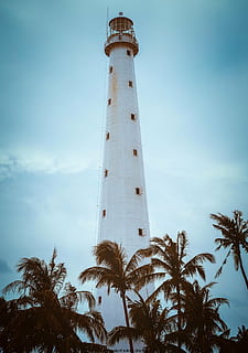Weiß, Leuchtturm, Kokosnussbaumgrenze Foto, tagsüber, Baum, Strand, Blau, Segeln, Urlaub, Reise, Himmel, Küste, Meer, Turm, Landschaft, Hafen, Suchscheinwerfer, Zeichen, Warnung, Palme, alt, Navigation, Insel, Natur, Gebäude, die Architektur, Licht, Tourismus, Haus, nautisch, Ozean, Geschichte, Richtung, Reiseziele, Flachwinkelansicht, Tag, gebaute Struktur, Gebäudehülle, Pflanze, Beratung, große Höhe, tropisches Klima, keine Leute, Sicherheit, draußen, 4K, CC0, gemeinfrei, lizenzfrei