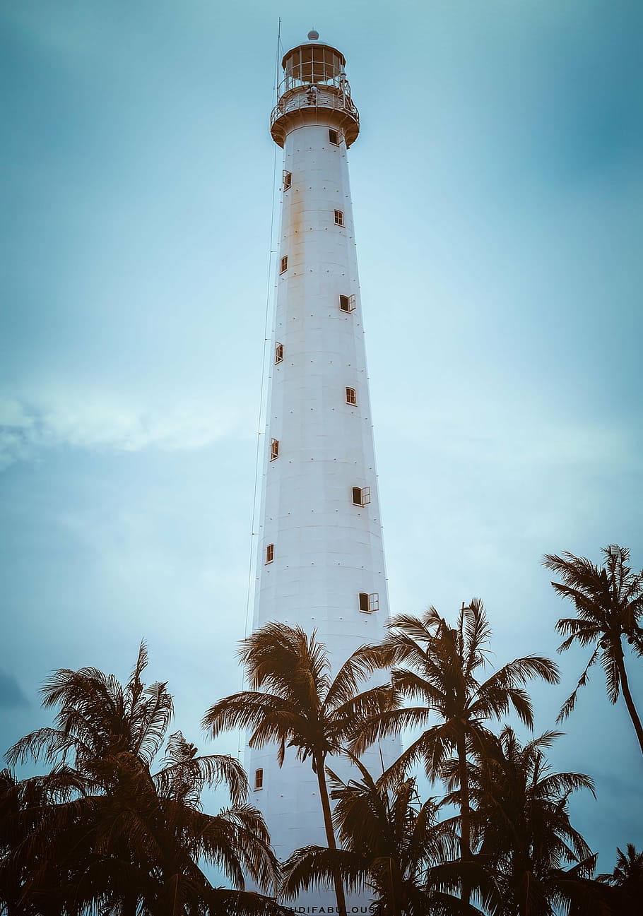 hvid, fyrtårn, coconut tree line foto, dagtimerne, træ, strand, blå, sejlads, ferie, rejse, himmel, kyst, hav, tårn, landskab, havn, projektør, skilt, advarsel, håndflade, gammel, navigation, ø, natur, bygning, arkitektur, lys, turisme, hus, nautiske, ocean, historie, retning, rejsemål, lav vinkel visning, dag, Palme træ, bygget struktur, bygning udvendig, plante, vejledning, høj - høj, tropisk klima, ingen mennesker, sikkerhed, udendørs, 4K