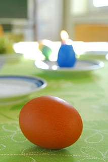 Pasen, ei, paasei, de lente, paasgroet, Paaszondag, Paasmaandag, schilderij, eivormig, geschilderd, gekookt, gekleurde, heerlijk, Paas eieren, hartgekocht, focus op de voorgrond, detailopname, stilleven, tafel, geen mensen, binnenshuis, eten en drinken, voedsel, dag, bal, versheid, welzijn, groene kleur, natuur, selectieve aandacht, geel, gezond eten, 4K, CC0, publiek domein, royaltyvrij
